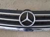 Mercedes  B Grill Styling