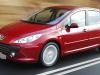Peugeot  307 Restajling Kompletan Auto U Delovima